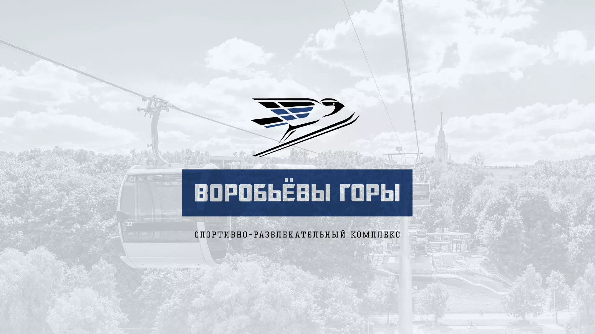 Разработка сайта в Лесозаводске для спортивно-развлекательного комплекса «Воробьёвы горы»